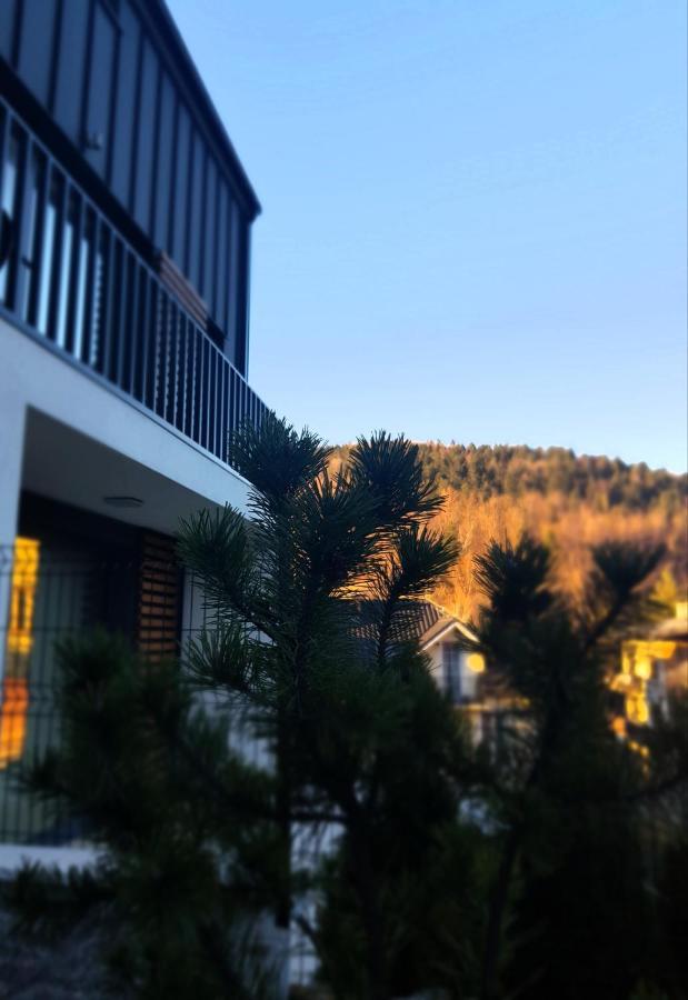 Apartament "Oldmountain" Olimpijska 1C 1 什切尔克 外观 照片